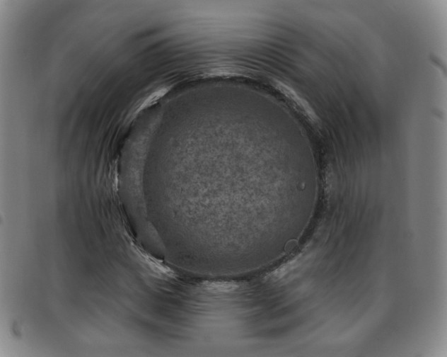 X0000097770825200803141743