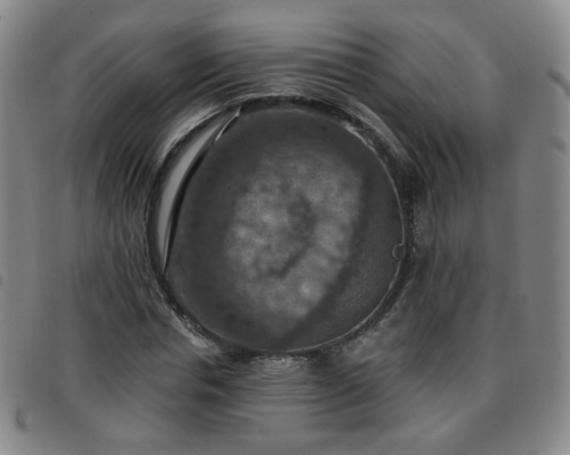 X0000097770826200803141743