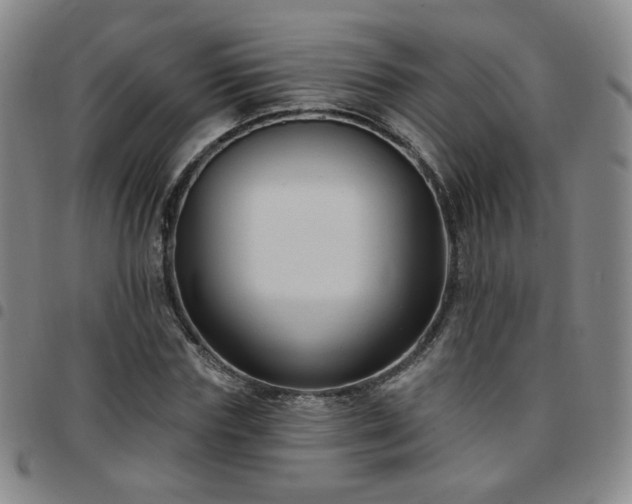 X0000097770827200803141743