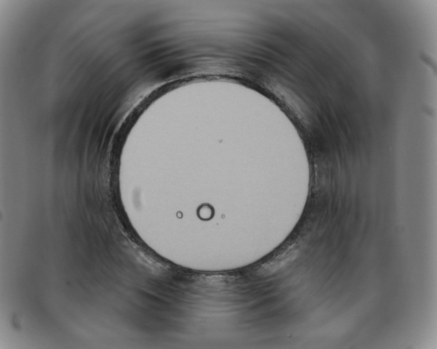 X0000097770828200803141743