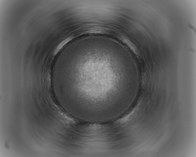 X0000097770829200803141743