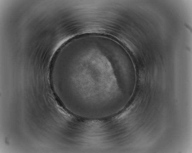 X0000097770830200803141743