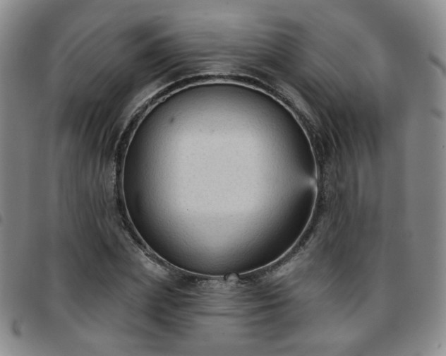 X0000097770831200803141743