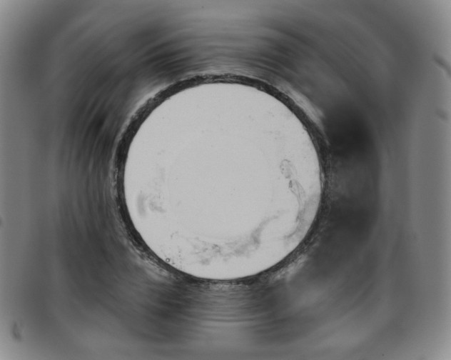 X0000097770832200803141743
