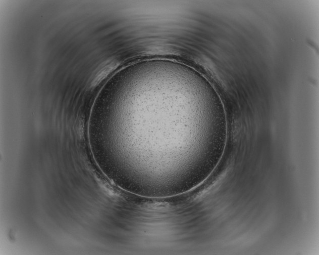 X0000097770833200803141743
