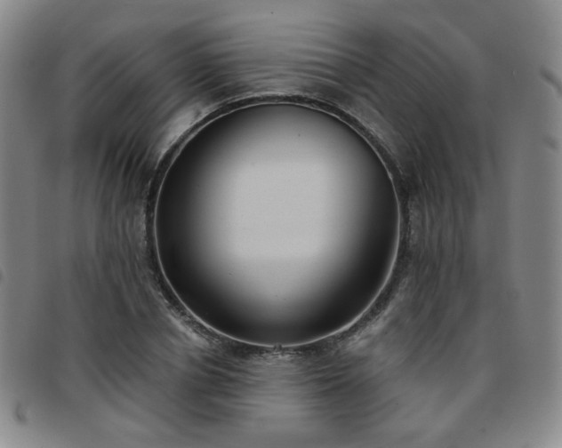 X0000097770834200803141743