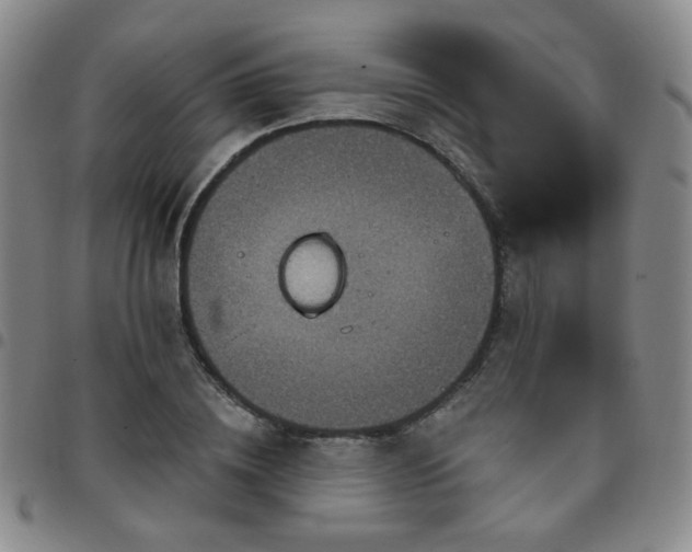 X0000097770836200803141743