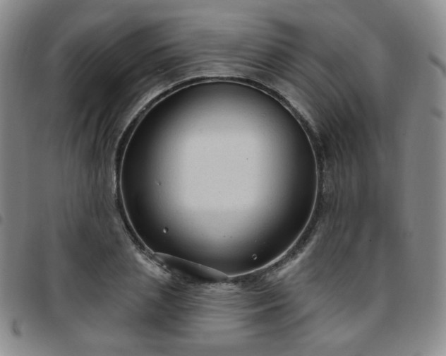 X0000097770837200803141743