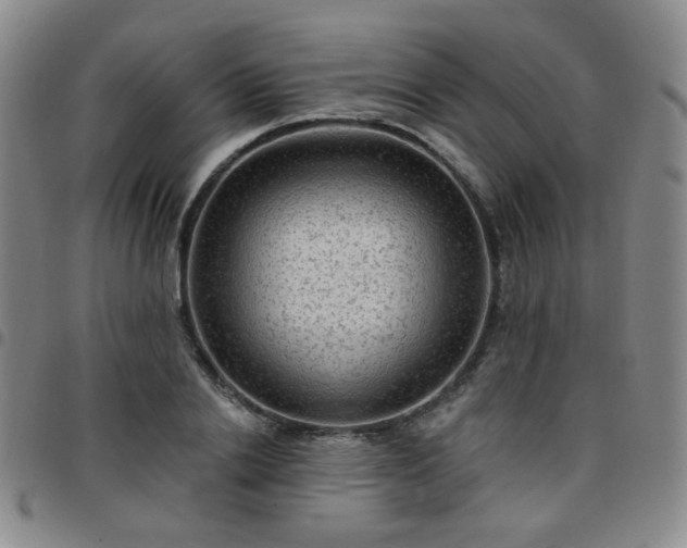 X0000097770838200803141743