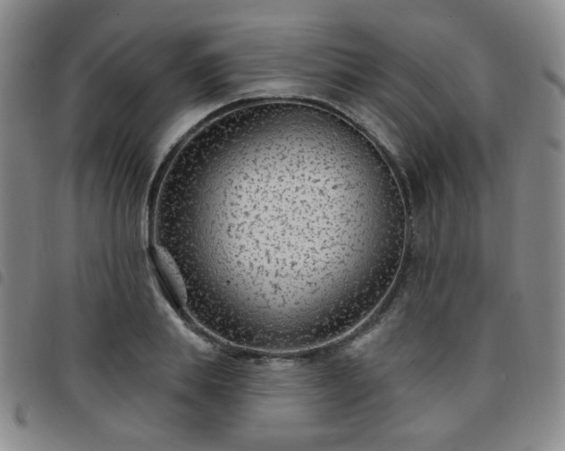 X0000097770839200803141743