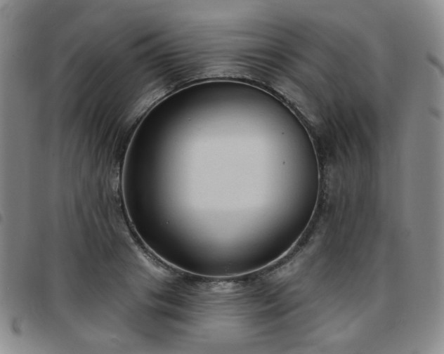 X0000097770841200803141743