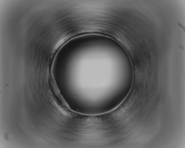 X0000097770842200803141743