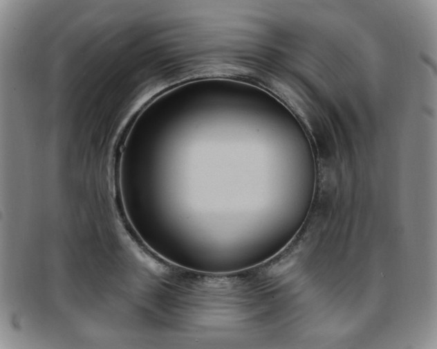 X0000097770843200803141743