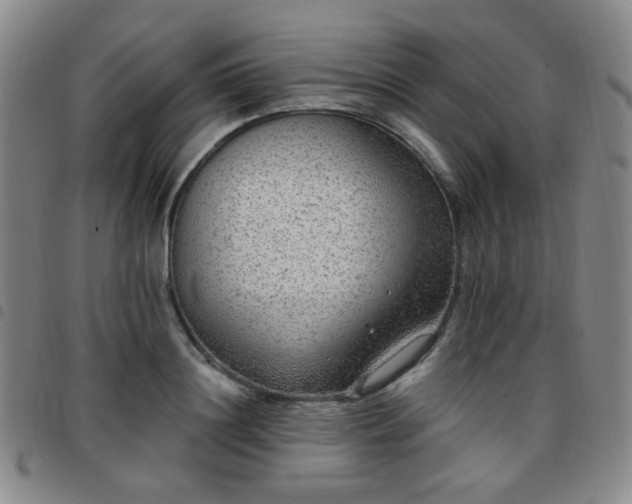 X0000097770844200803141743