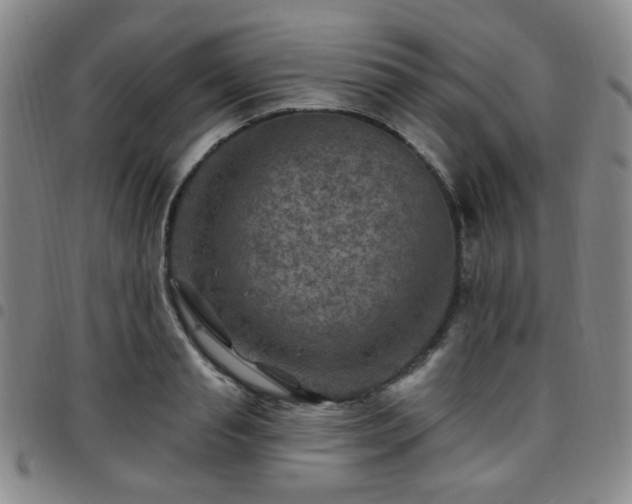X0000097770845200803141743