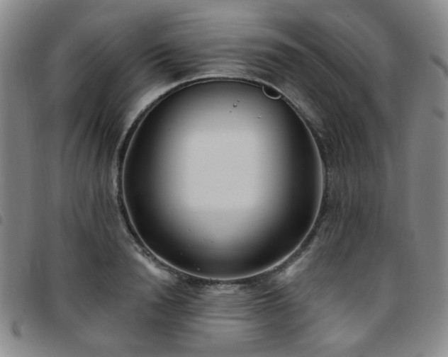 X0000097770846200803141743