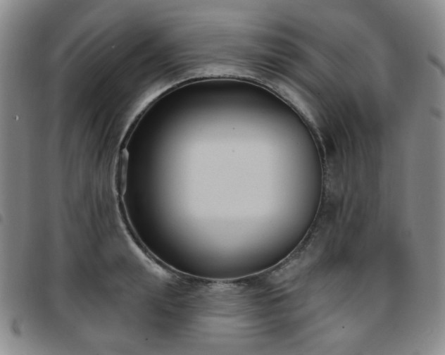X0000097770847200803141743