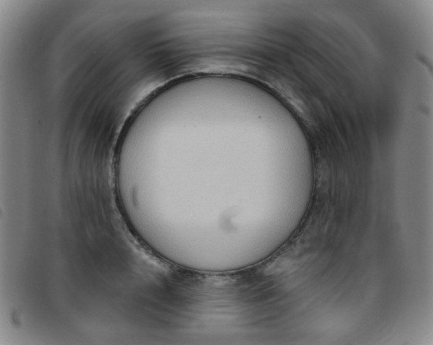 X0000097770848200803141743
