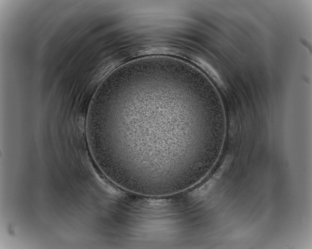 X0000097770849200803141743