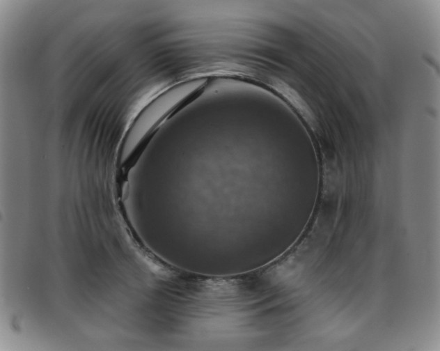 X0000097770850200803141743