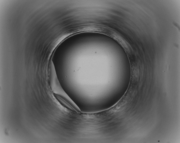X0000097770852200803141743