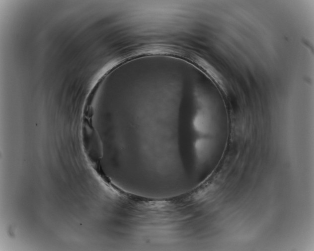 X0000097770853200803141743