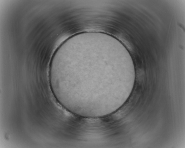 X0000097770856200803141743
