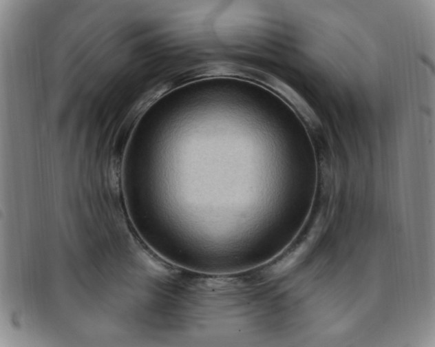 X0000097770857200803141743