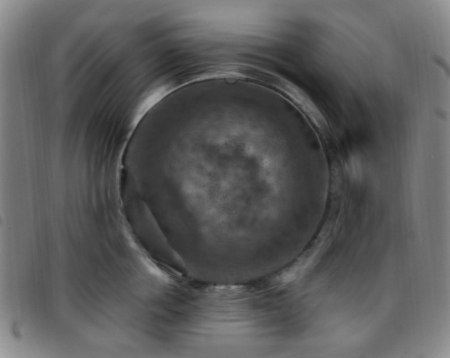 X0000097770858200803141743