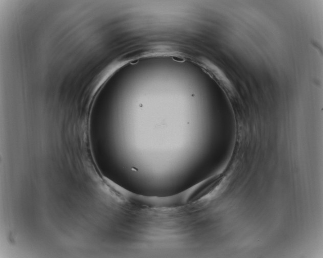 X0000097770860200803141743
