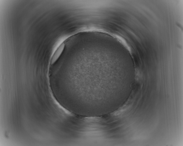 X0000097770863200803141743
