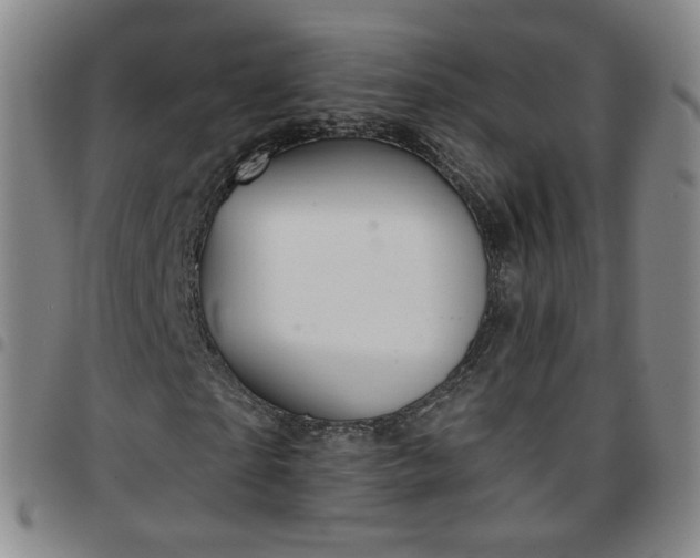 X0000097770865200803141743