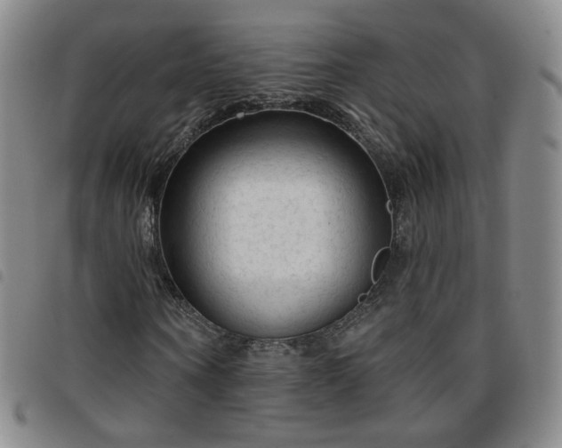 X0000097770866200803141743