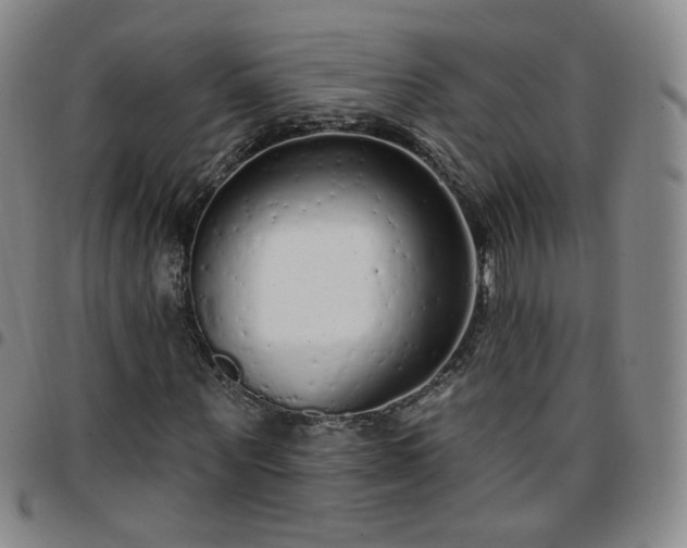 X0000097770867200803141743