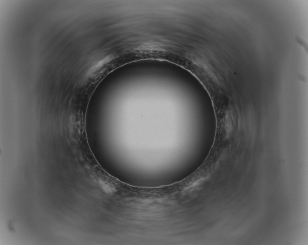X0000097770870200803141743