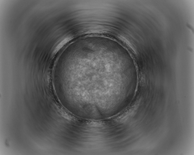 X0000097770874200803141743
