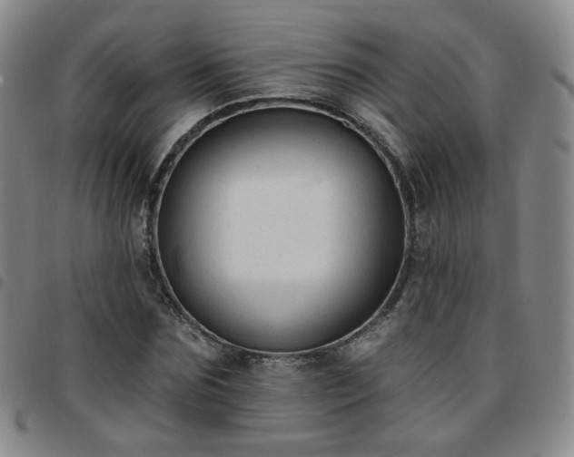 X0000097770875200803141743
