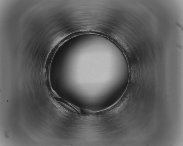 X0000097770876200803141743