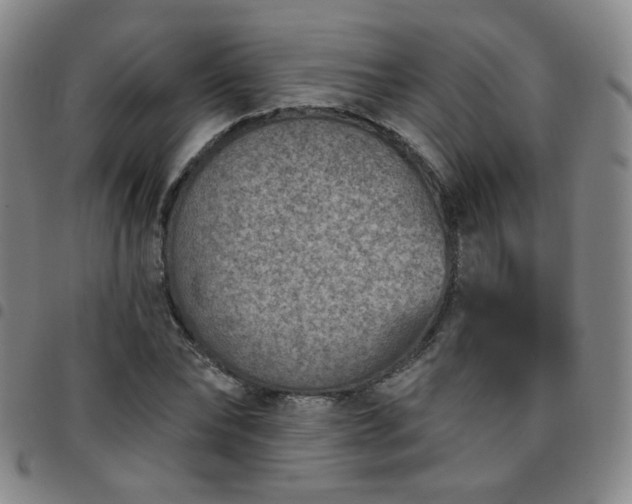 X0000097770878200803141743