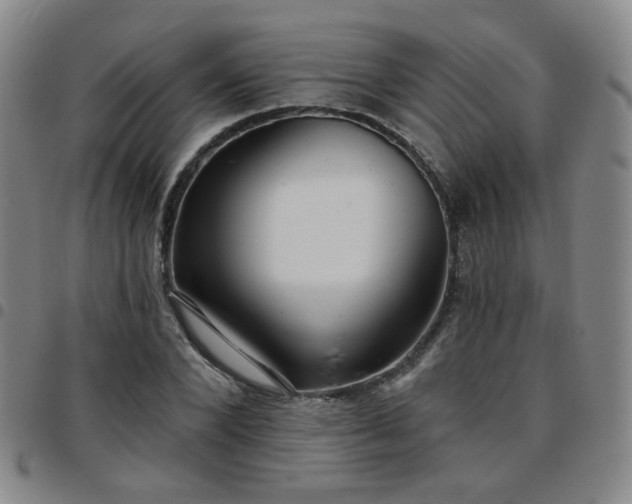 X0000097770880200803141743