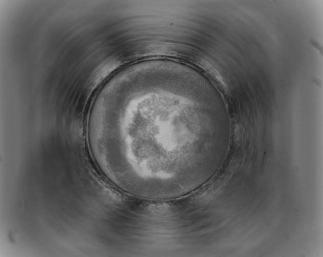 X0000097770882200803141743