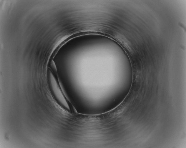 X0000097770884200803141743