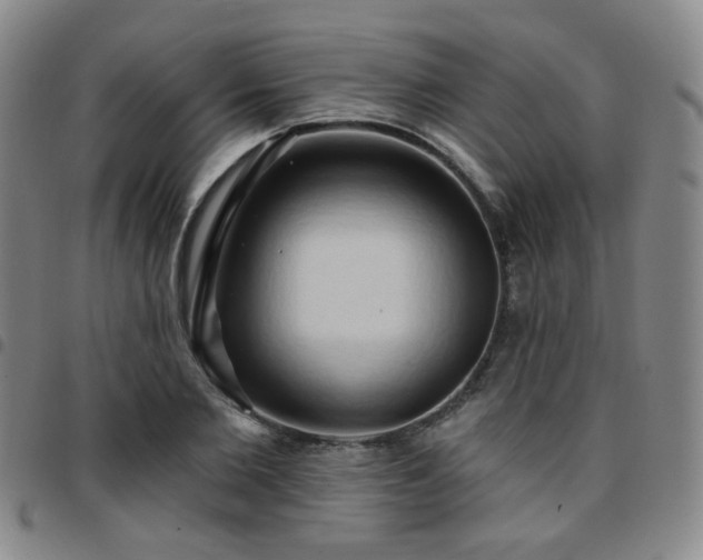 X0000097770885200803141742