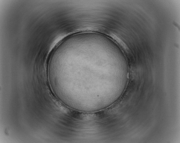 X0000097770886200803141742