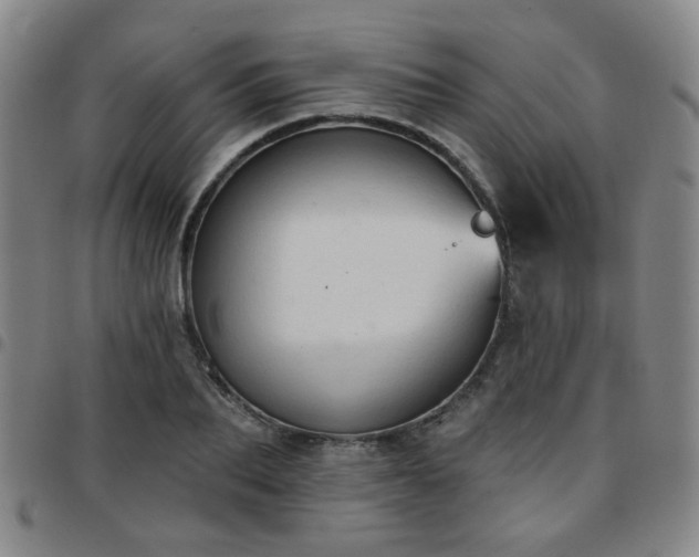 X0000097770887200803141742