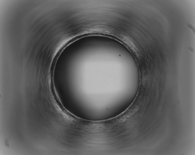 X0000097770888200803141742
