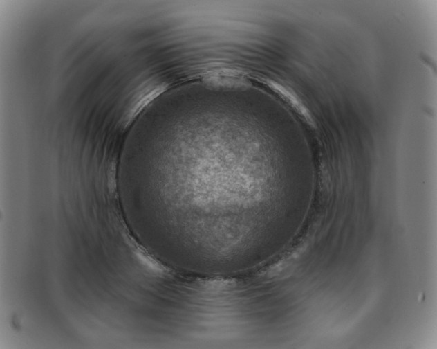 X0000097770889200803141742