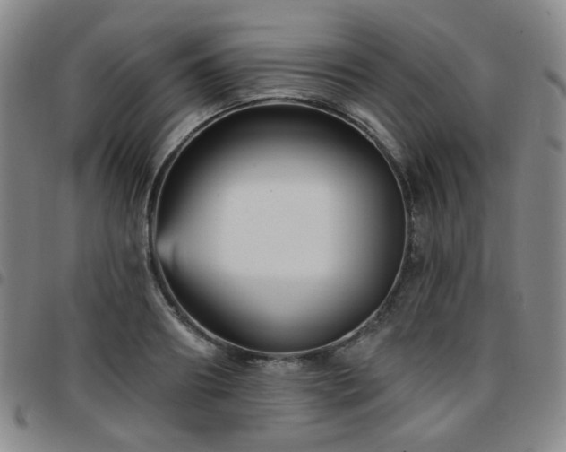 X0000097770890200803141742