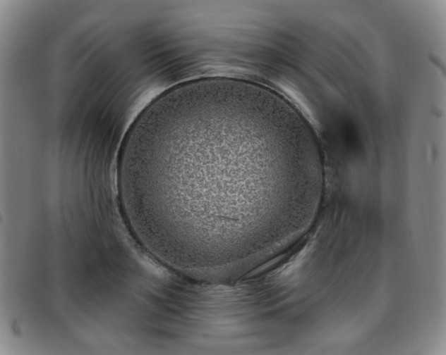 X0000097770891200803141742