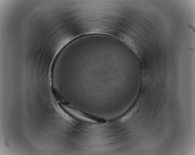 X0000097770892200803141742